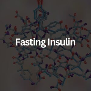 Fasting Insulin