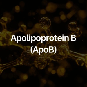 Apolipoprotein B (ApoB)