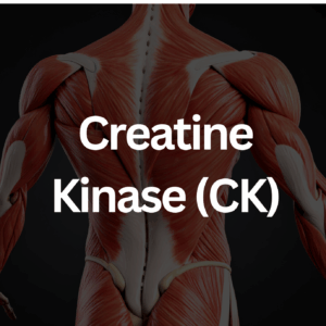 Creatine Kinase (CK)