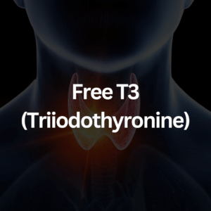Free T3 (Triiodothyronine)