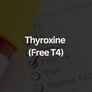 Thyroxine (Free T4)