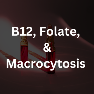 B12, Folate, & Macrocytosis Panel