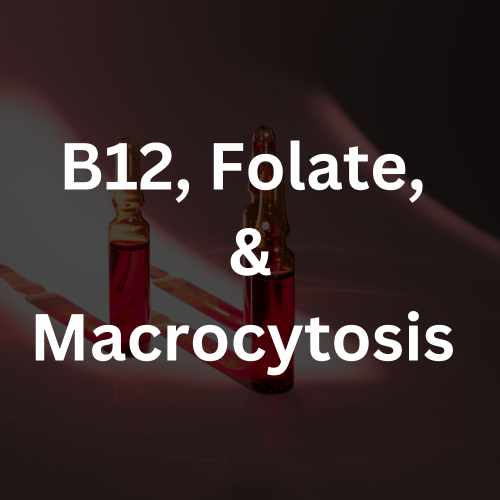 B12, Folate, & Macrocytosis Panel
