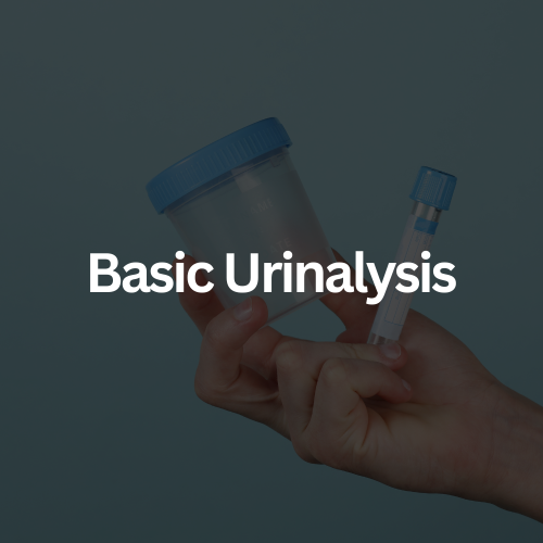 Basic Urinalysis