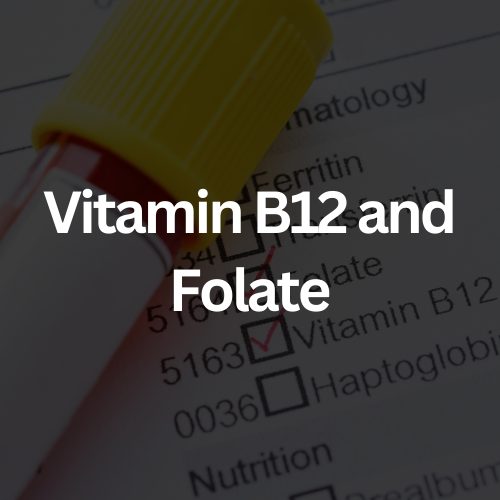 CFA Full Female Panel (17)