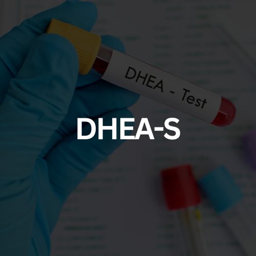 CFA Full Female Panel (20)