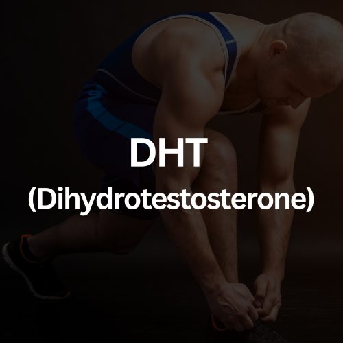 CFA Full Female Panel (31)