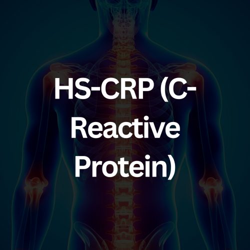 CFA Full Female Panel (32)