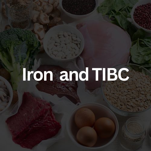 CFA Full Female Panel (37)