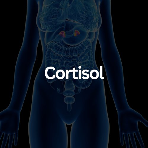 CFA Full Female Panel (38)