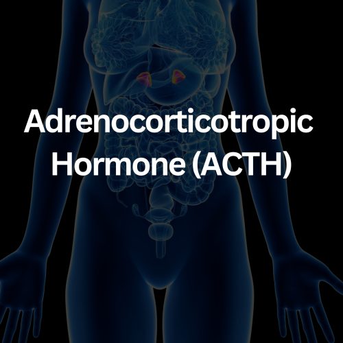 CFA Full Female Panel (39)