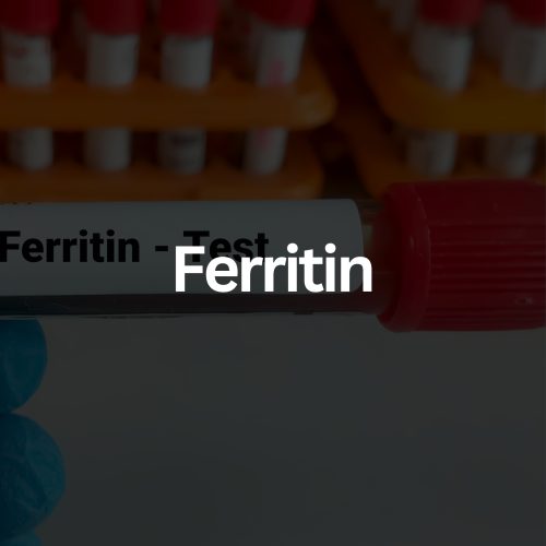 CFA Full Female Panel (40)