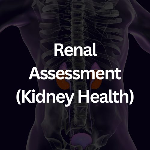 CFA Full Female Panel (44)