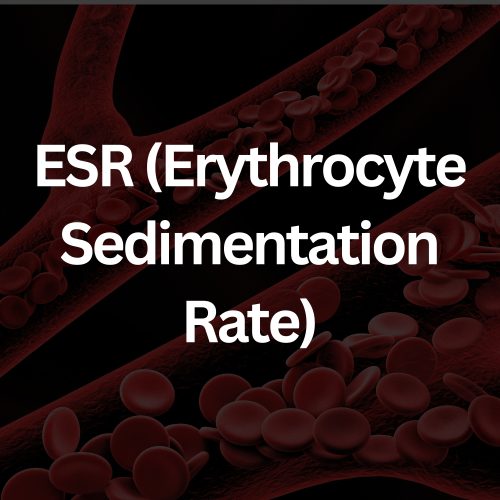 CFA Full Female Panel (46)