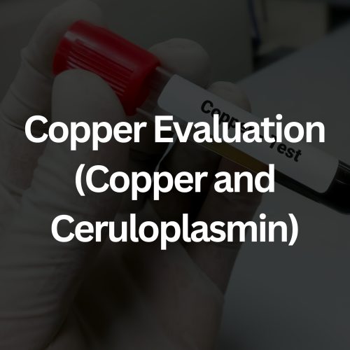 MandMImageOnline (5)