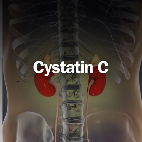 s363240841883640748_p14_i1_w1350