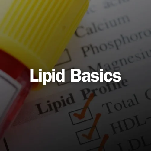 s363240841883640748_p21_i1_w1485 (1)