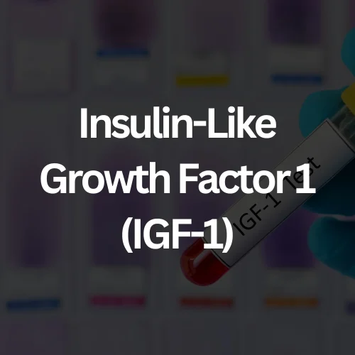 s363240841883640748_p33_i1_w1500