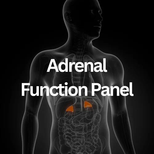 s363240841883640748_p37_i1_w1750